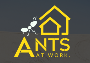 Ants at Work